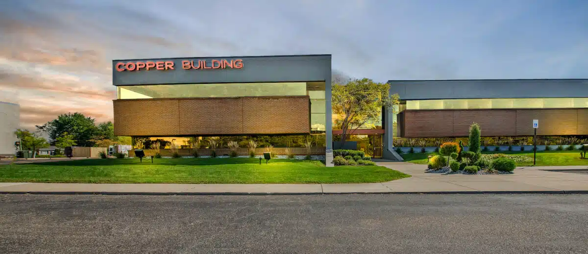 Advanced Rapid Detox - Preview