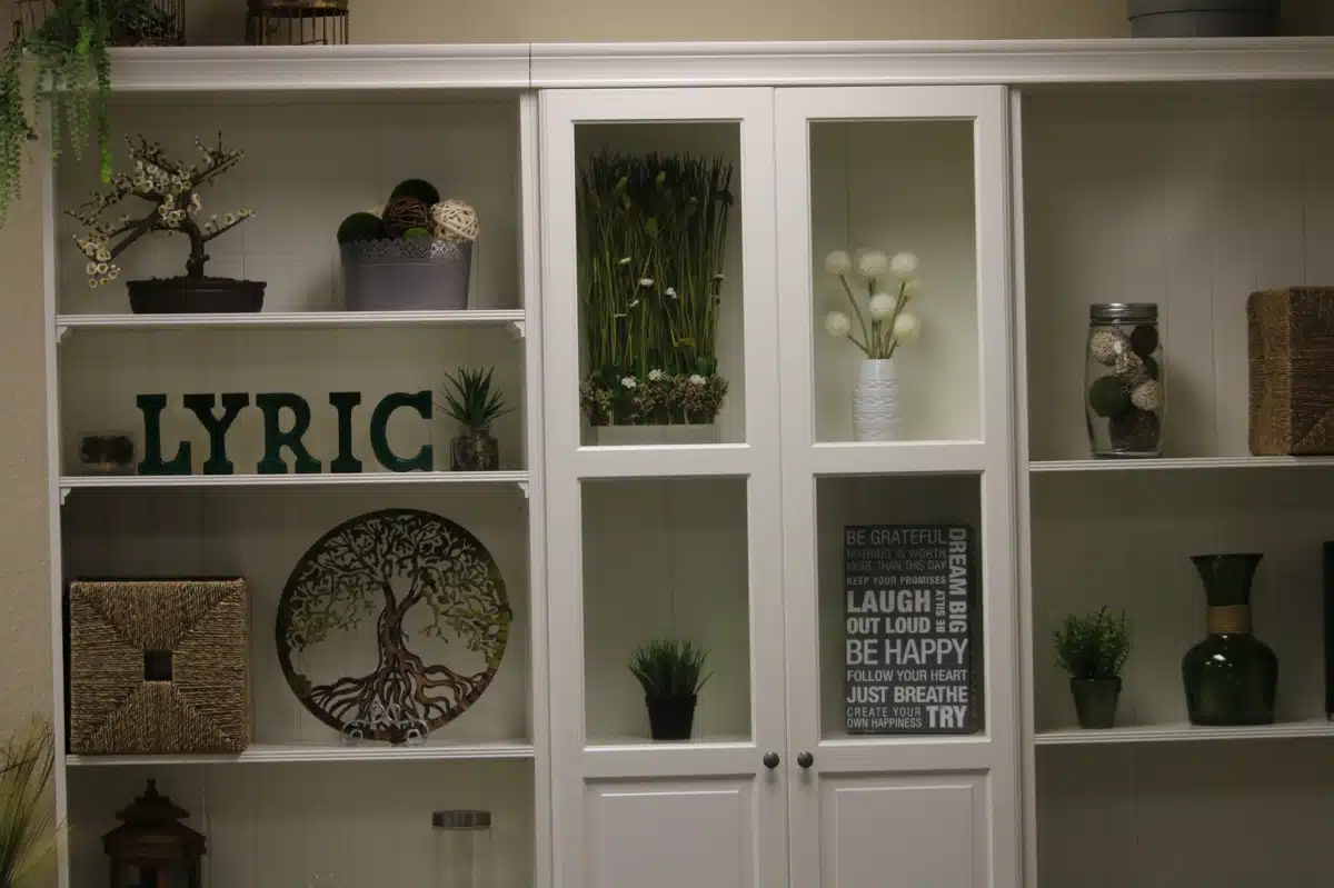 Lyric Recovery Services Inc