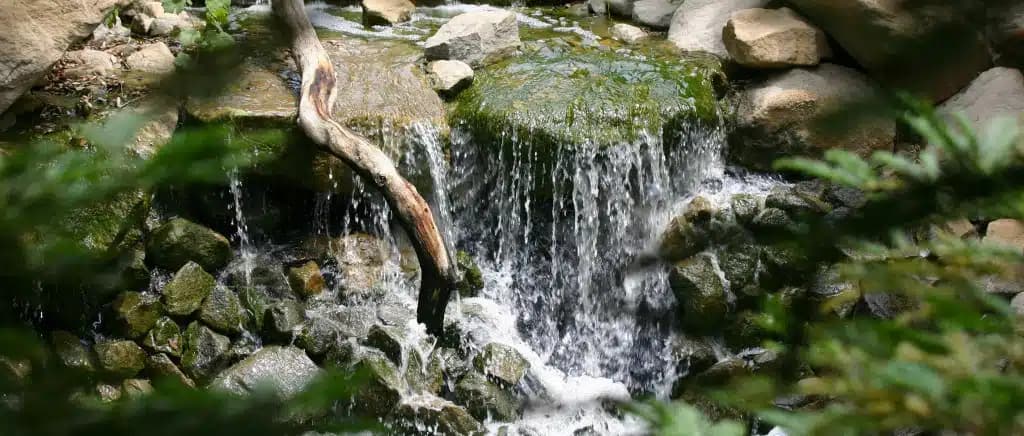 Milestones Ranch Malibu